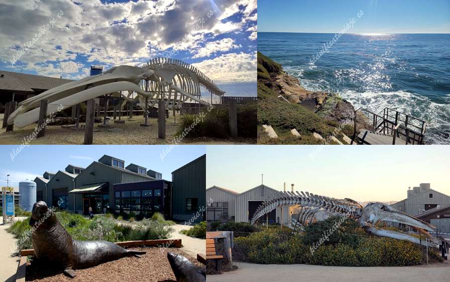 Seymour Marine Discovery Center de Santa Cruz | Horario, Mapa y entradas