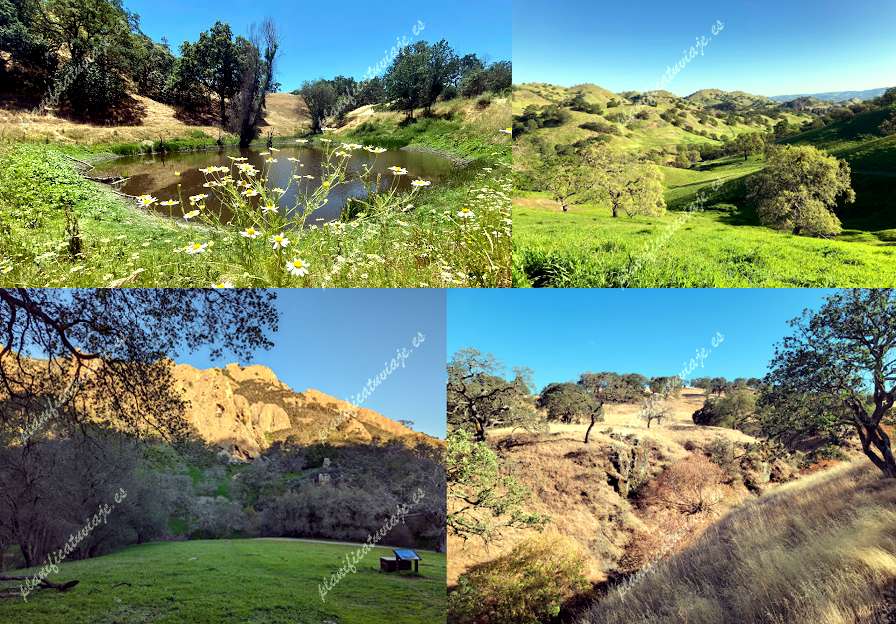 Shell Ridge Open Space de Walnut Creek | Horario, Mapa y entradas