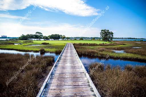 Sheraton Panama City Beach Golf & Spa Resort de Panama City Beach | Horario, Mapa y entradas