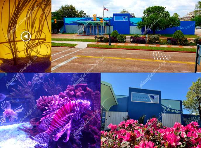 Shreveport Aquarium de Shreveport | Horario, Mapa y entradas