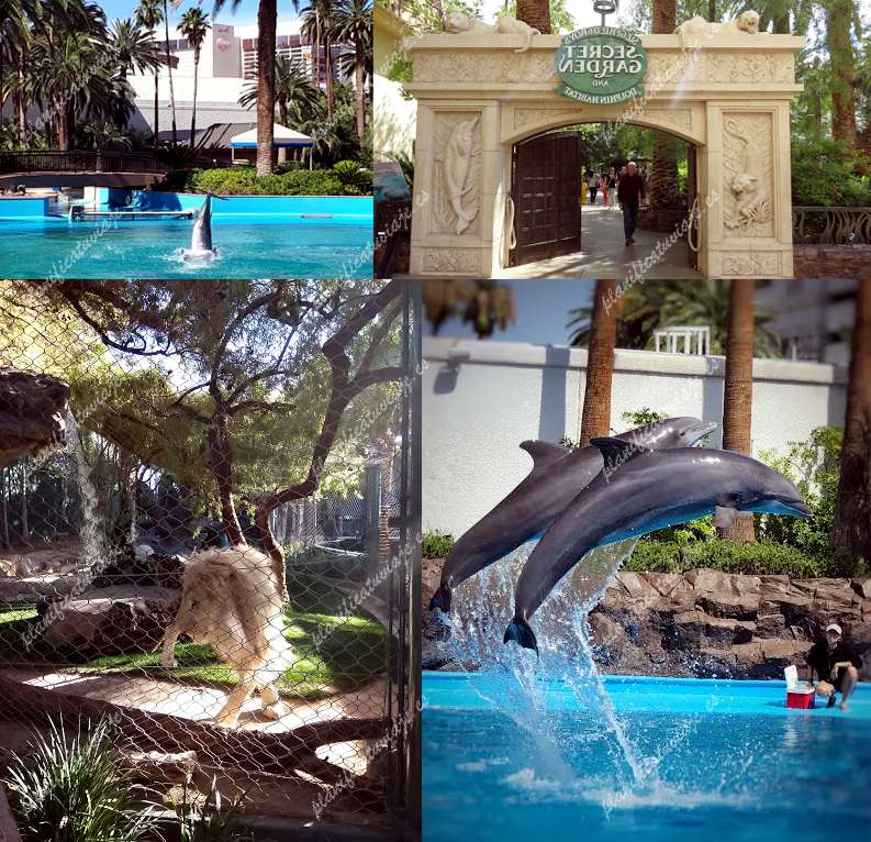 Siegfried & Roy's Secret Garden and Dolphin Habitat de Las Vegas | Horario, Mapa y entradas