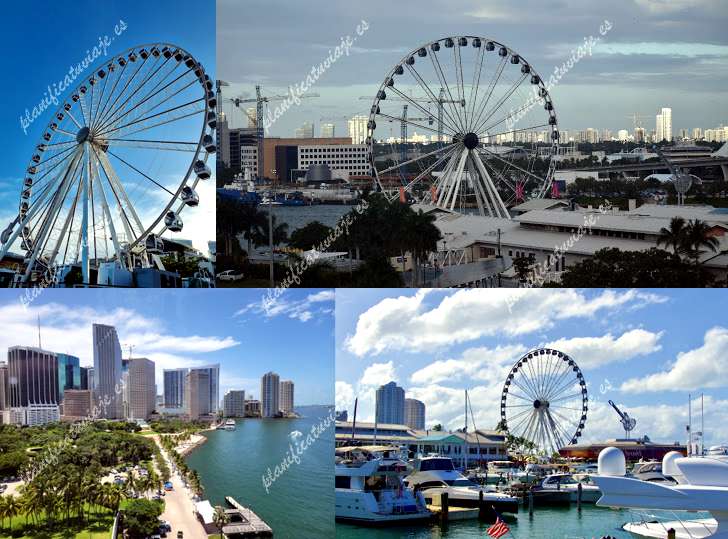 Skyviews Miami Observation Wheel de Miami | Horario, Mapa y entradas