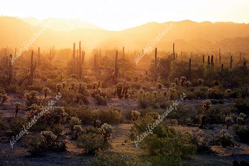 Sonoran Desert National Monument de Maricopa | Horario, Mapa y entradas