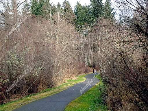 Moos Creek Trail de Kent | Horario, Mapa y entradas