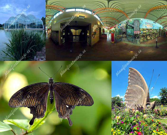 Sophia M. Sachs Butterfly House de Chesterfield | Horario, Mapa y entradas