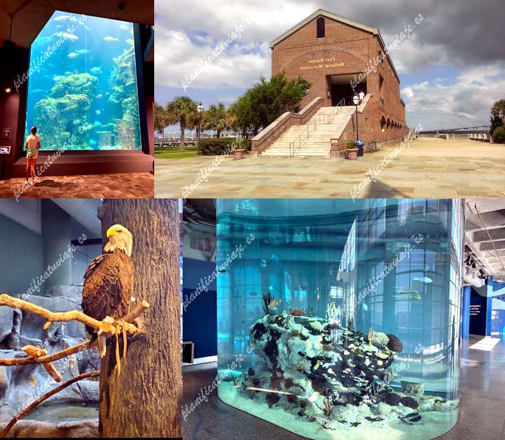 South Carolina Aquarium de Charleston | Horario, Mapa y entradas
