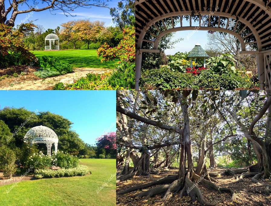 South Coast Botanic Garden de Palos Verdes Estates | Horario, Mapa y entradas