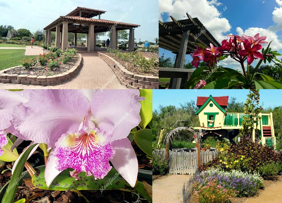 South Texas Botanical Gardens & Nature Center de Corpus Christi | Horario, Mapa y entradas