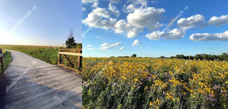 Springbrook Prairie Forest Preserve de Naperville | Horario, Mapa y entradas