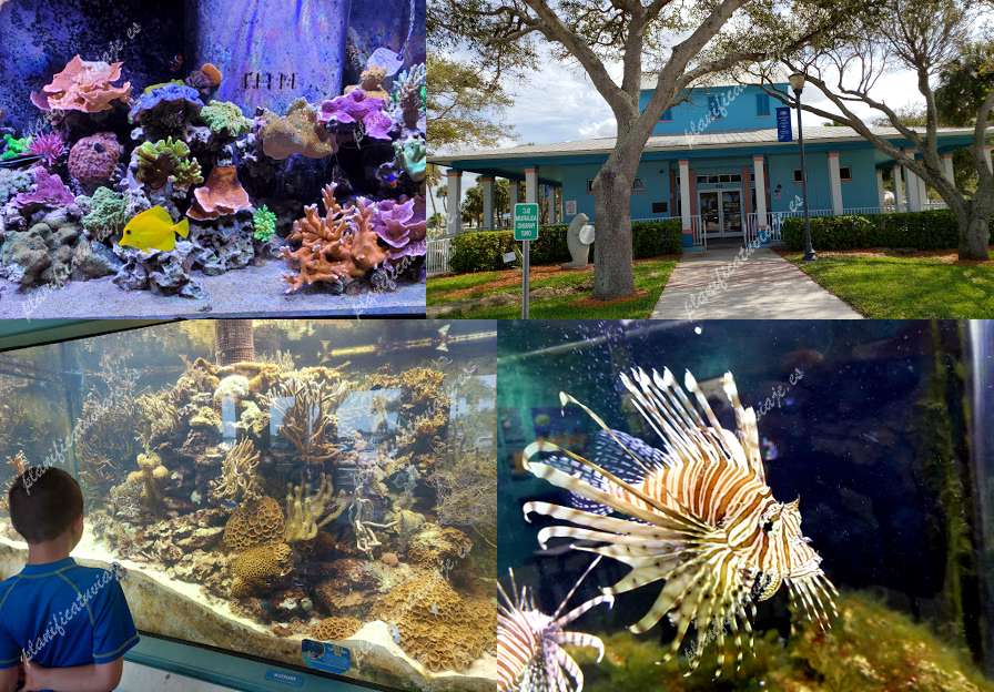 St. Lucie County Aquarium de Fort Pierce | Horario, Mapa y entradas