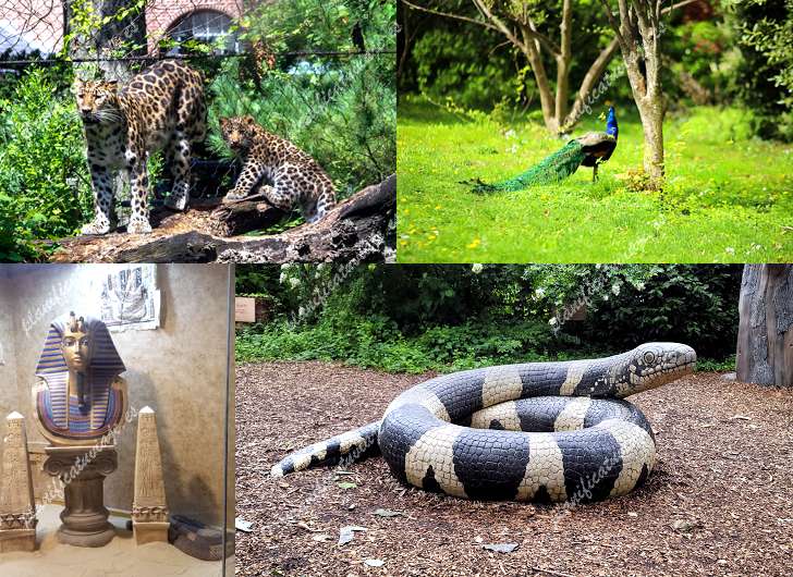 Staten Island Zoo de Staten Island | Horario, Mapa y entradas