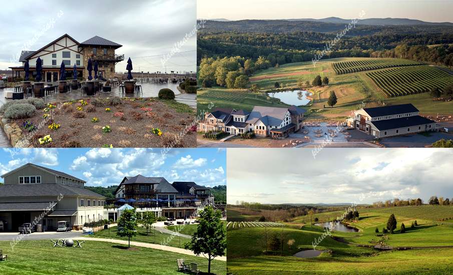 Stone Tower Winery de Leesburg | Horario, Mapa y entradas