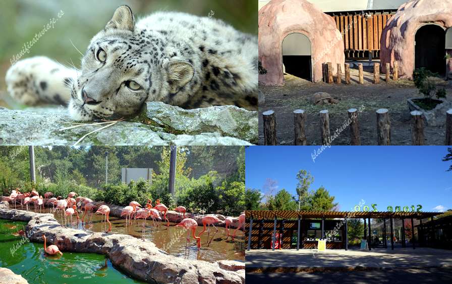 Stone Zoo de Stoneham | Horario, Mapa y entradas