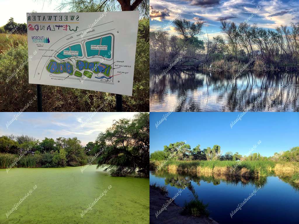 Sweetwater Wetlands Park de Tucson | Horario, Mapa y entradas