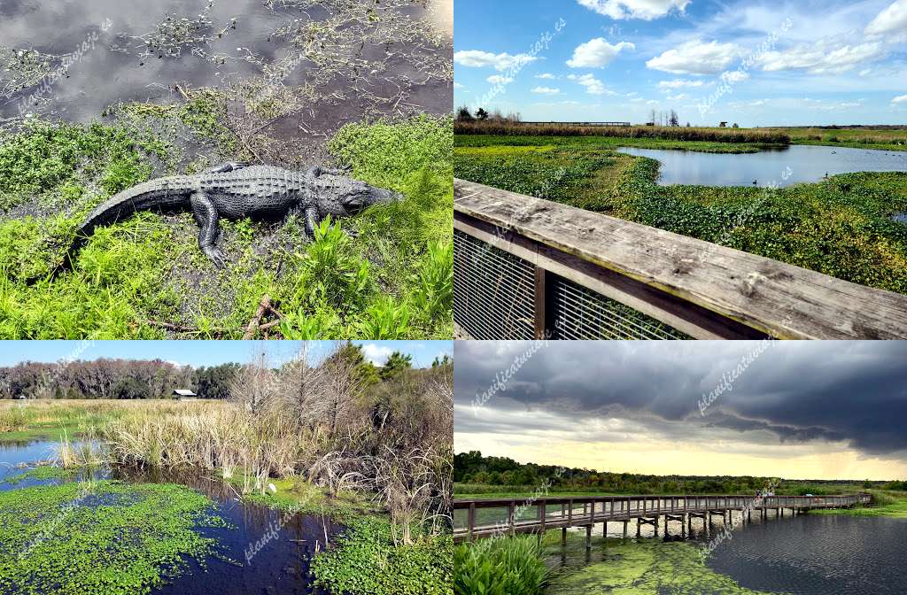 Sweetwater Wetlands Park de Gainesville | Horario, Mapa y entradas