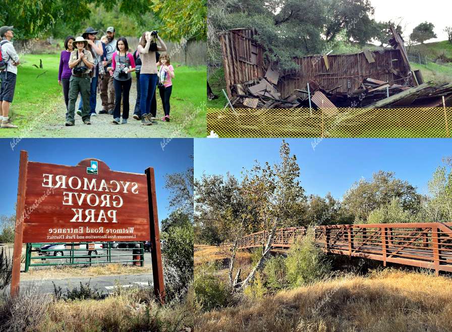 Sycamore Grove Park de Livermore | Horario, Mapa y entradas