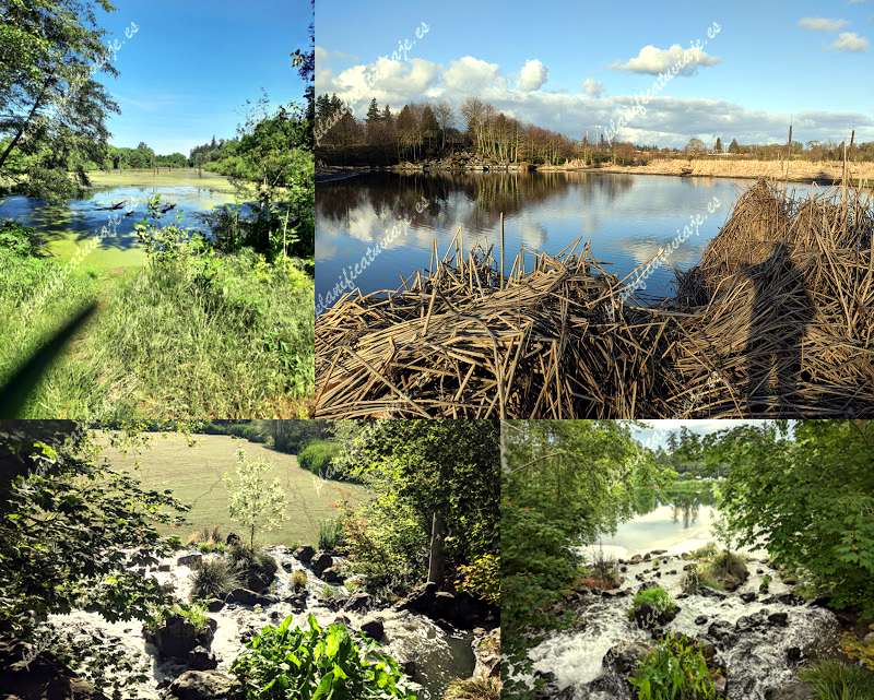 Talking Water Gardens de Albany | Horario, Mapa y entradas
