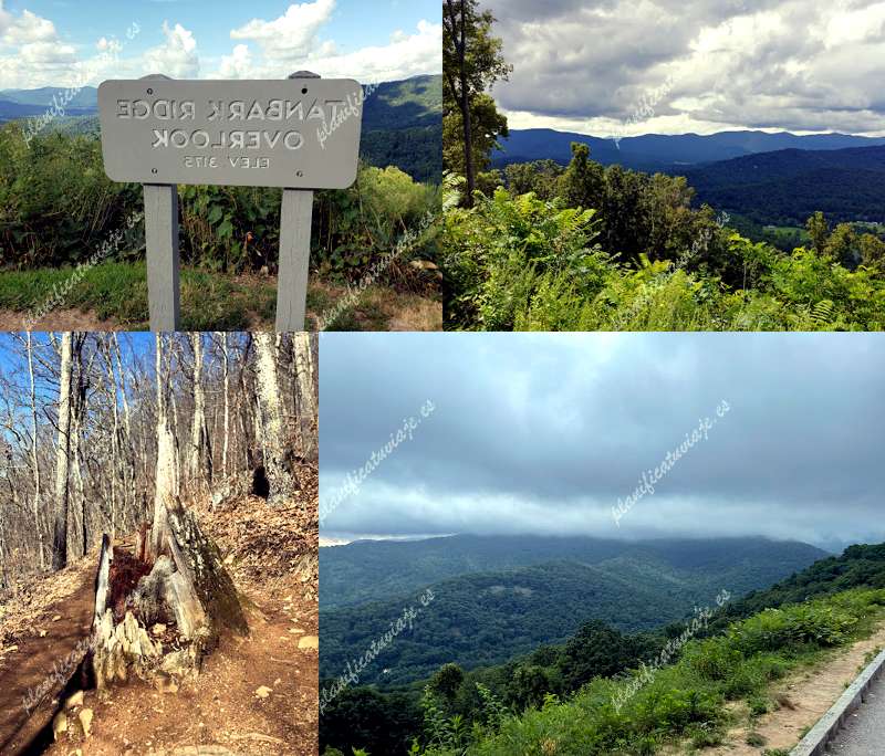 Tanbark Ridge Overlook de Asheville | Horario, Mapa y entradas