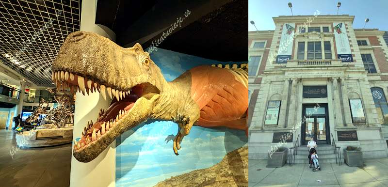 The Academy of Natural Sciences of Drexel University de Philadelphia | Horario, Mapa y entradas 2