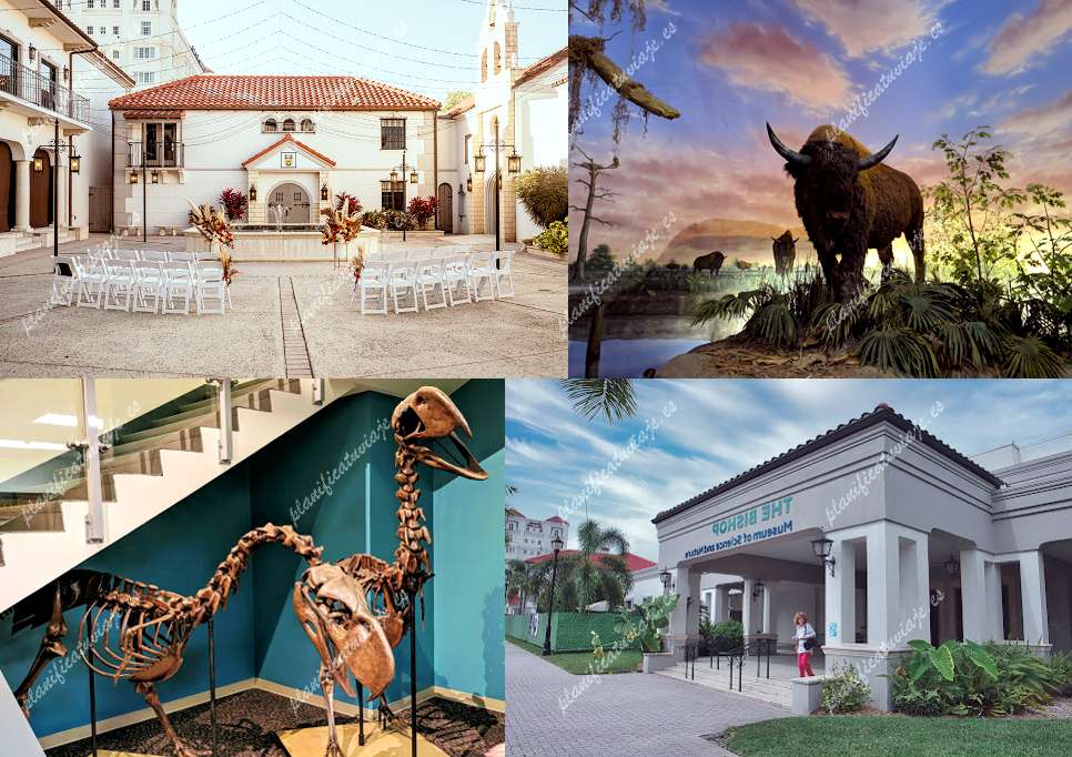 The Bishop Museum of Science and Nature de Bradenton | Horario, Mapa y entradas