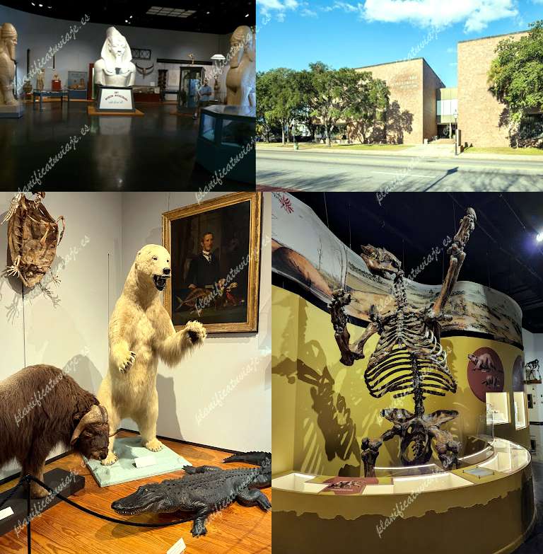 The Charleston Museum de Charleston | Horario, Mapa y entradas 2