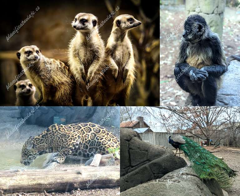 The Chattanooga Zoo at Warner Park de Chattanooga | Horario, Mapa y entradas 2