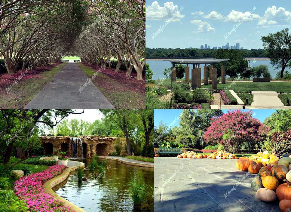 The Dallas Arboretum and Botanical Garden de Dallas | Horario, Mapa y entradas