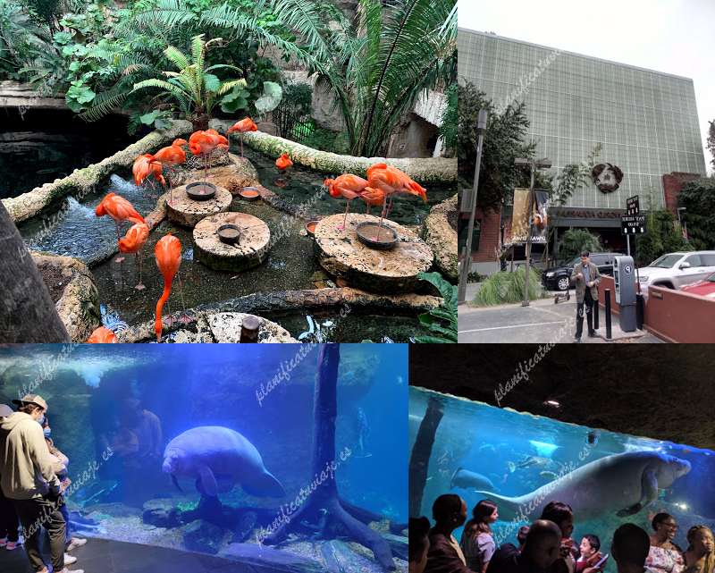 The Dallas World Aquarium de Dallas | Horario, Mapa y entradas