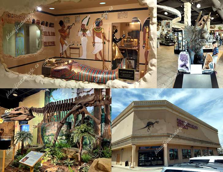The Dinosaur Store de Cocoa Beach | Horario, Mapa y entradas