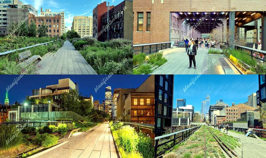 The High Line de New York | Horario, Mapa y entradas