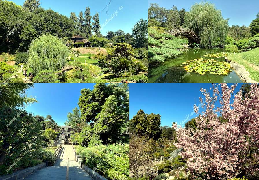 The Huntington Japanese Garden de San Marino | Horario, Mapa y entradas 5