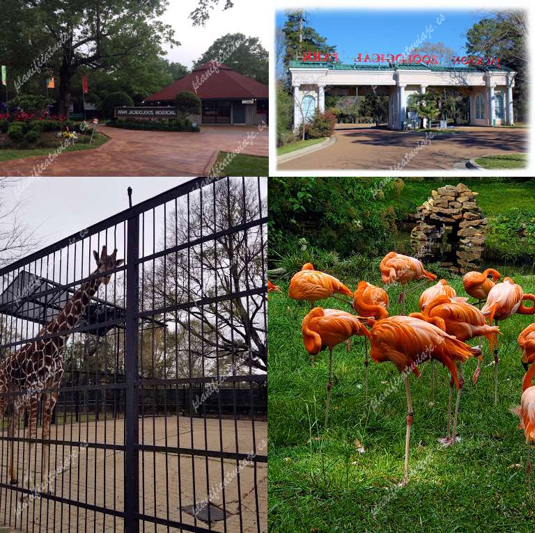 The Jackson Zoo de Jackson | Horario, Mapa y entradas