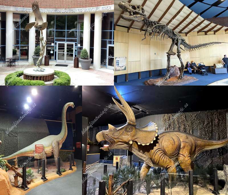 The Schiele Museum of Natural History & Planetarium de Gastonia | Horario, Mapa y entradas 2