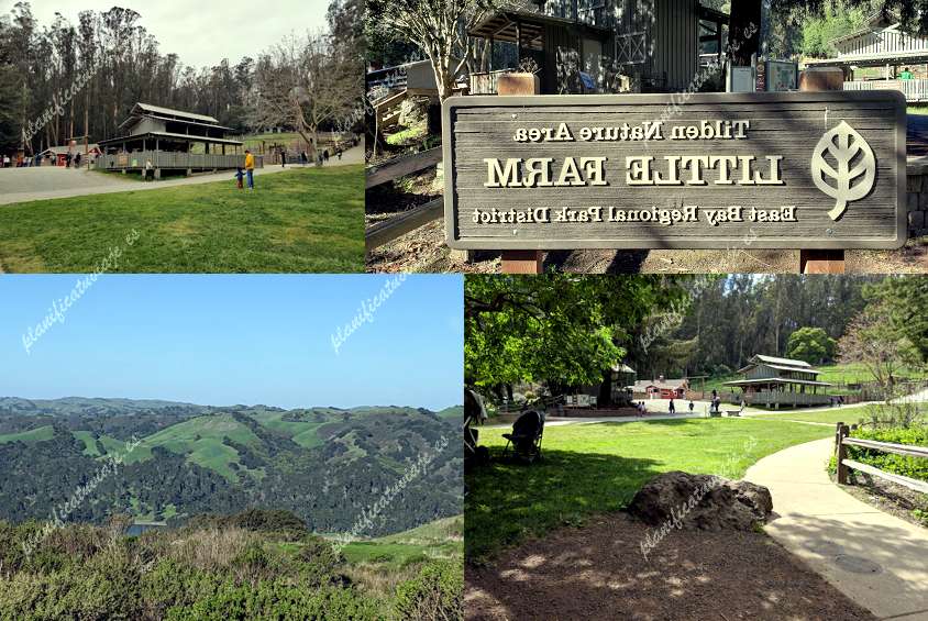 Tilden Nature Area de Berkeley | Horario, Mapa y entradas