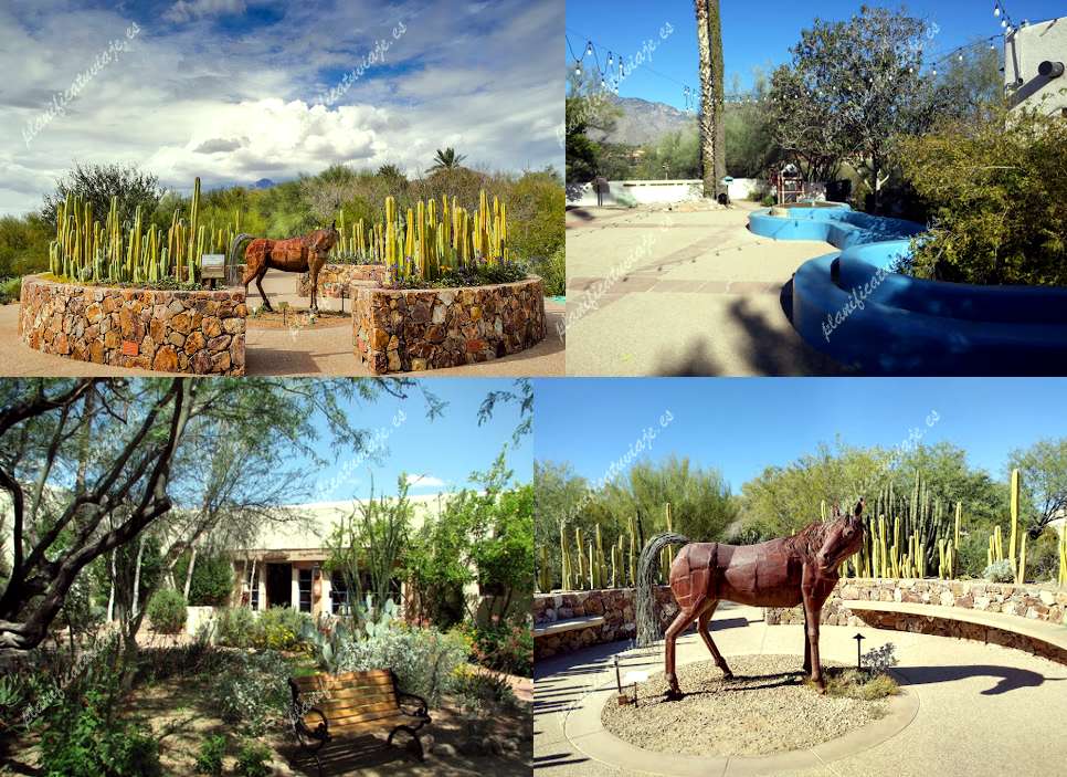 Tohono Chul | Gardens, Galleries, and Bistro de Tucson | Horario, Mapa y entradas