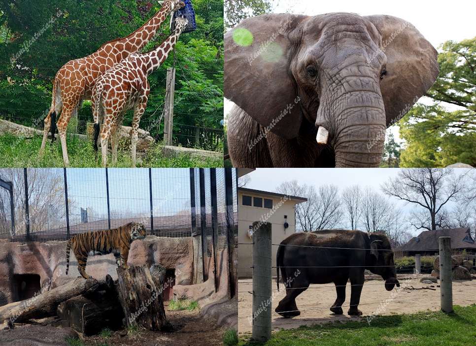 Topeka Zoo & Conservation Center de Topeka | Horario, Mapa y entradas