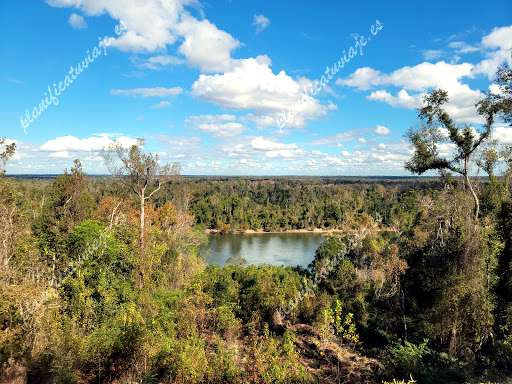 Torreya State Park de Bristol | Horario, Mapa y entradas