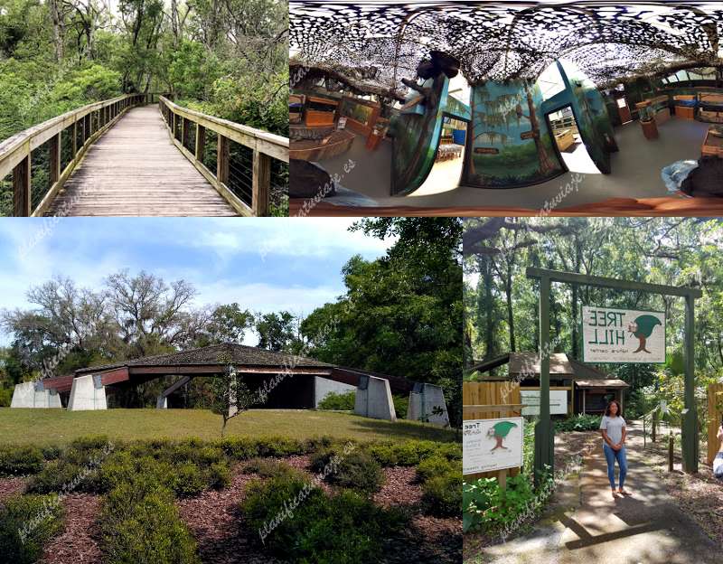 Tree Hill Nature Center de Jacksonville | Horario, Mapa y entradas