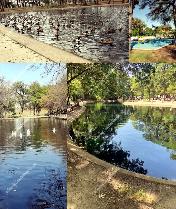 Trinity Park Duck Pond de Fort Worth | Horario, Mapa y entradas