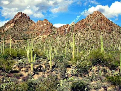 Tucson Mountain Park de Tucson | Horario, Mapa y entradas