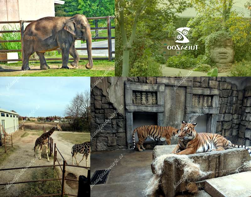 Tulsa Zoo de Tulsa | Horario, Mapa y entradas