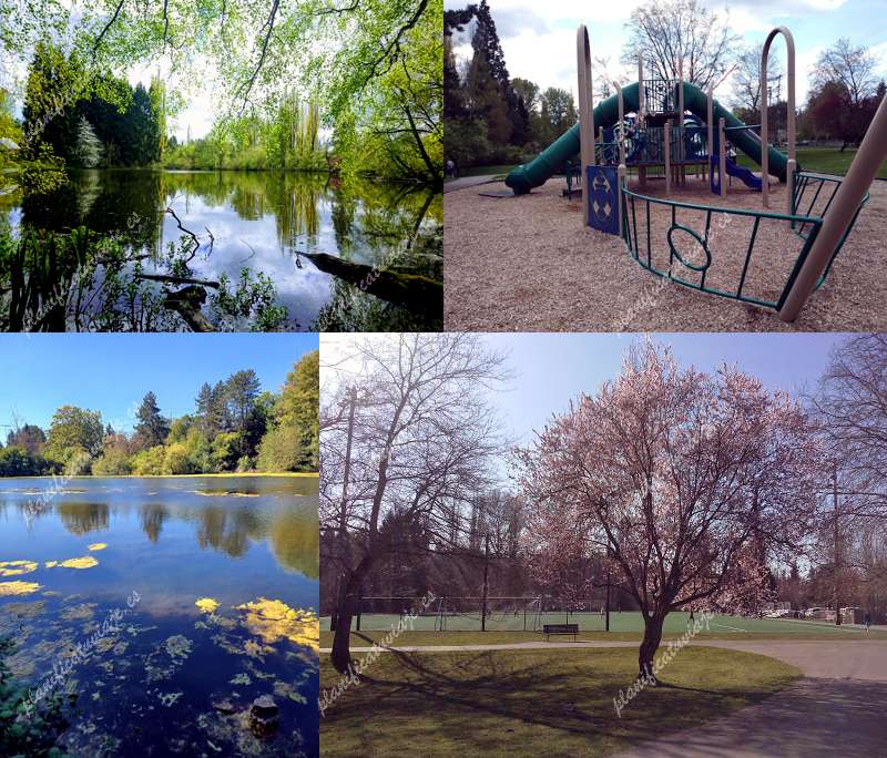 Twin Ponds Park de Shoreline | Horario, Mapa y entradas