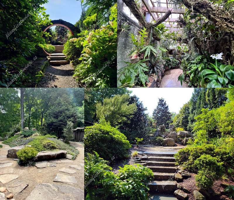 Unc Charlotte Botanical Gardens de Charlotte | Horario, Mapa y entradas