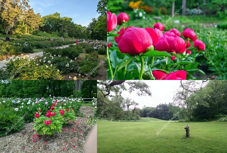 Mackinac Island