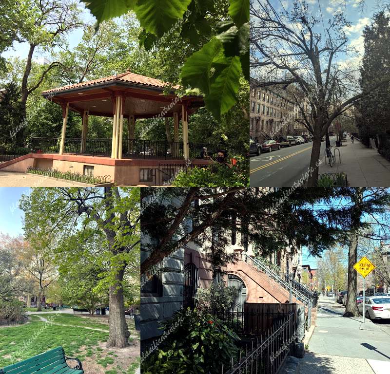 Van Vorst Park de Jersey City | Horario, Mapa y entradas