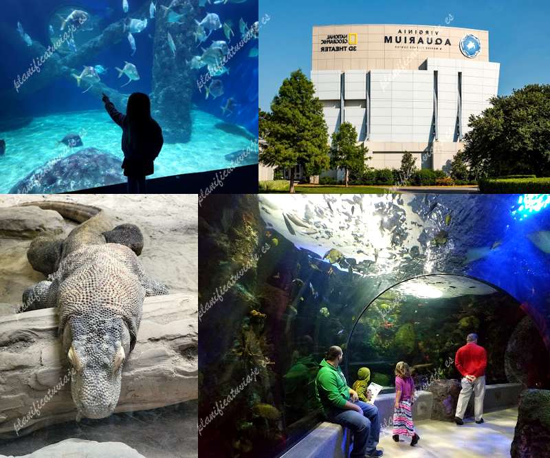 Virginia Aquarium & Marine Science Center de Virginia Beach | Horario, Mapa y entradas
