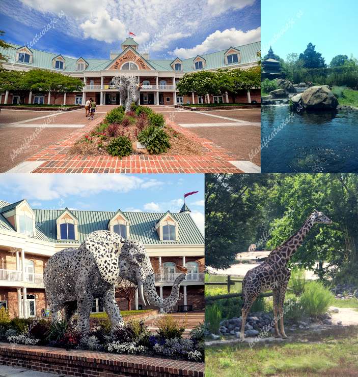 Virginia Beach