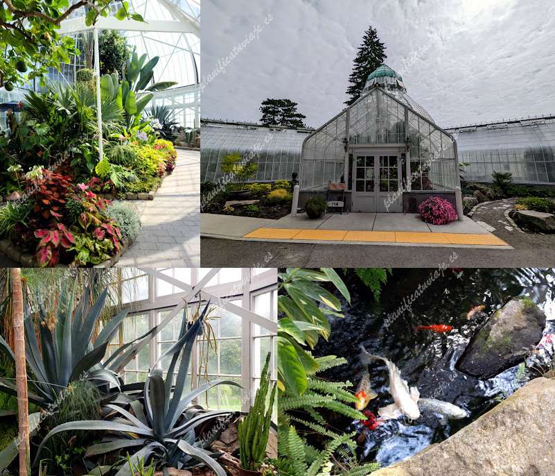 W.W. Seymour Botanical Conservatory de Tacoma | Horario, Mapa y entradas