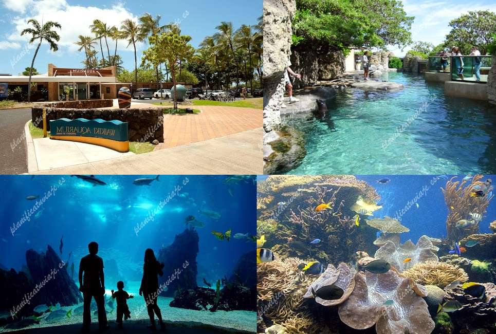 Waikiki Aquarium de Honolulu | Horario, Mapa y entradas