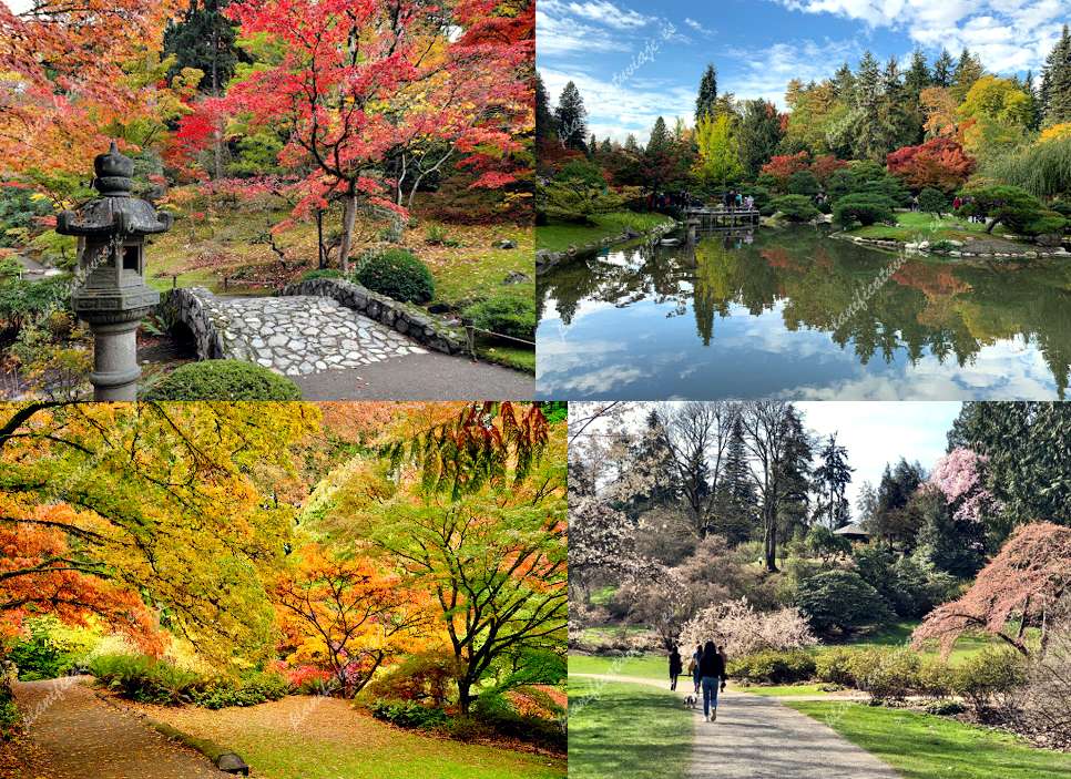 Washington Park Arboretum de Seattle | Horario, Mapa y entradas